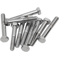 (image for) Drag Specialties Fine-Thread Hex-Head Bolts