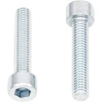 (image for) Replacement Smooth Socket-Head Allen Bolt M6 x 1.0 x 30