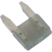 (image for) 2A Mini Fuse