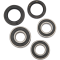 (image for) Rear Wheel Bearing and Seal Kit