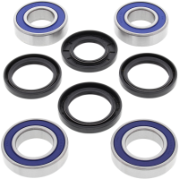 (image for) Rear Wheel Bearing and Seal Kit for Aprilia Dorsoduro 1200 11-12