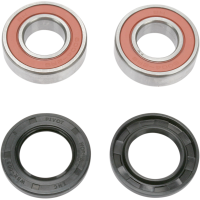 (image for) Rear Wheel Bearing and Seal Kit