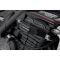 (image for) Frame Slider Set - TRIUMPH Street Triple 1200 RS/RR 21-25