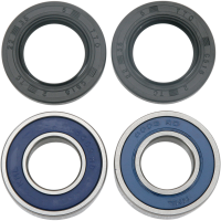 (image for) Front Wheel Bearing and Seal Kit