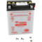(image for) Yuasa Yumicron 12V Battery YB14L-B2