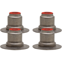 (image for) Viton Seal - 17-25 M-Eight