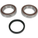 (image for) Drive Shaft Chain Case Bearing and Seal Kit