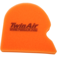 (image for) Twin Air Standard Filter 151335