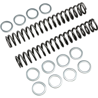 (image for) Race Tech Fork Spring 0405-0141