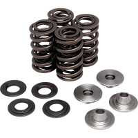 (image for) Lightweight Racing Valve Spring Kit
