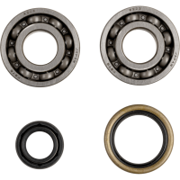 (image for) ProX Crankshaft Bearing and Seal Kit