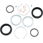 (image for) Fork Seal Kit (39 mm)