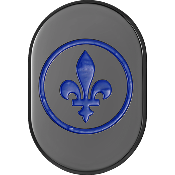 (image for) FIGURATI DESIGNS Antenna Cover Left Rear Black Fleur-de-lis