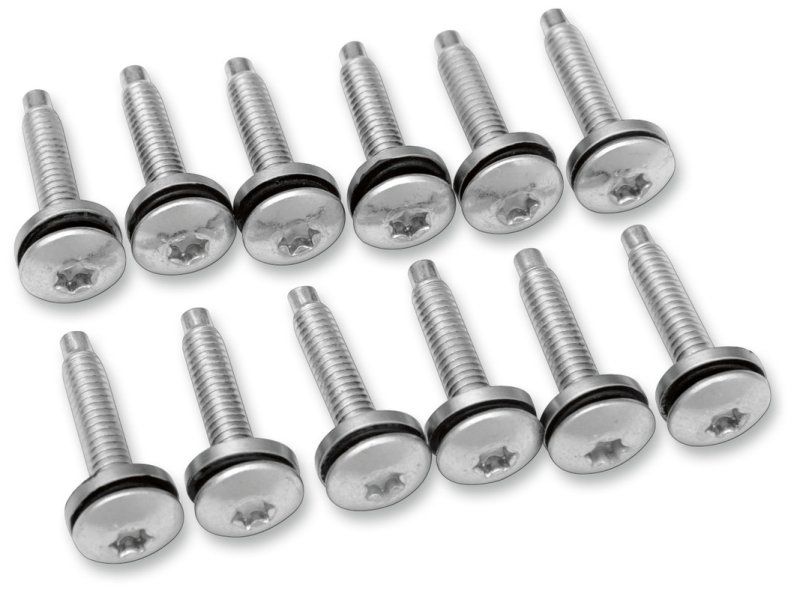 (image for) Drag Specialties Top Plate Hardware Kit 8-32 x 3/4"