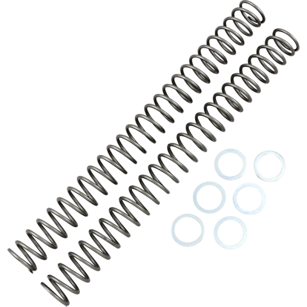 (image for) Race Tech Fork Spring 0405-0148