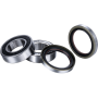 (image for) Race Series Rear Wheel Bearing Kit