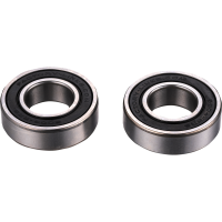 (image for) Rear Wheel Bearing Kit - ELECTRIC MOTION