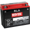 (image for) BS Battery 2113-0643 SLA AGM Battery