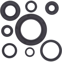 (image for) Vertex Oil Seal Kit for Honda CR250R 92-01