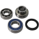 (image for) Jack Shaft Chain Case Bearing and Seal Kit