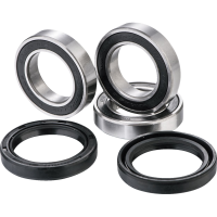 (image for) Factory Links OEM Series Rear Wheel Bearing Kit 0215-1220
