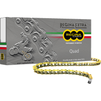 (image for) Regina QUAD Series Chain - 100 Links
