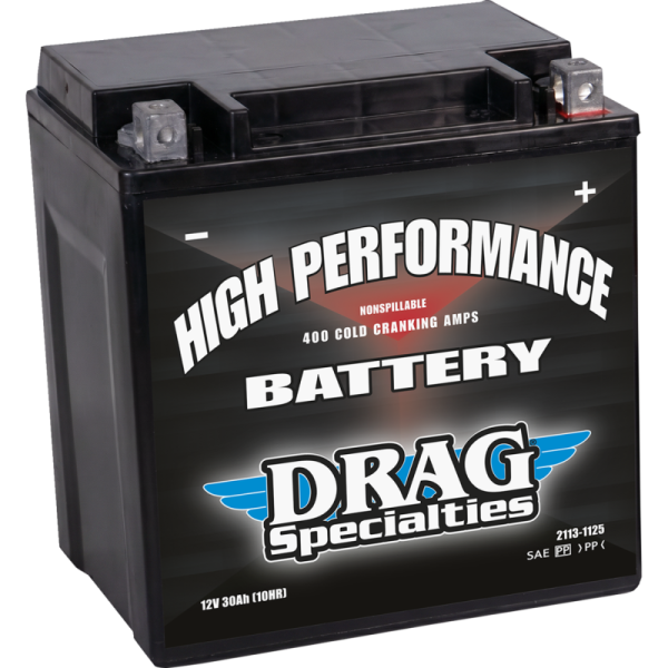(image for) Drag Specialties SLA AGM Battery - YIX30L
