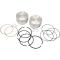 (image for) Piston Kit 107" XL Hot Set-Up +0.020"