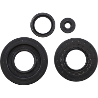 (image for) Engine Oil Seal Kit for Ski-Doo Summit 600 99
