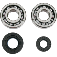 (image for) Crank Bearing and Seal Kit - YAMAHA YZ250X 16-24
