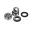 (image for) Rear Wheel Bearing Kit - BENELLI