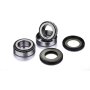 (image for) Rear Wheel Bearing Kit - BENELLI