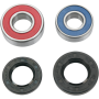 (image for) Front Wheel Bearing and Seal Kit