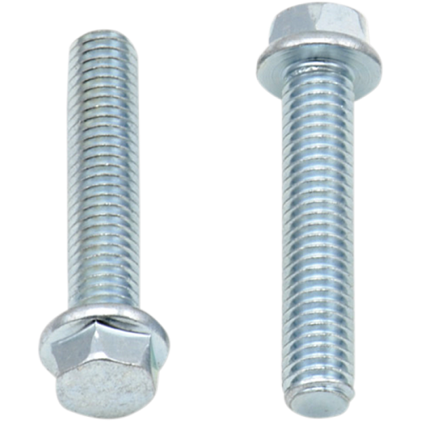 (image for) Replacement 8mm Hex-Head Flange Bolt M6 x 1.0 x 30
