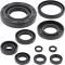 (image for) Vertex Oil Seal Kit for Yamaha YZ250X 16-22