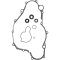 (image for) ProX Water Pump Repair Kit