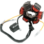 (image for) Rick's Motorsport Electrics Stator 2112-0024
