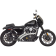 (image for) Radial Sweepers Exhaust - Chrome w/ chrome heat shields