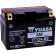 (image for) Yuasa AGM Maintenance-Free Battery - YT12A-BS