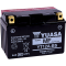 (image for) Yuasa AGM Maintenance-Free Battery YT12A-BS