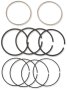 (image for) Ring Set 3.875" (95") +0.010"
