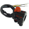 (image for) Right side switch assembly with throttle housing