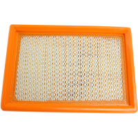 (image for) HiFloFiltro Air Filter for Stelvio 1200 08-14