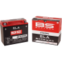 (image for) BS Battery 2113-0640 SLA AGM Battery