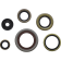 (image for) Moose Offroad Oil Seal Kit for KTM 65 SX/SXS/XC 09-23
