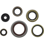 (image for) Moose Offroad Oil Seal Kit for KTM 65 SX/SXS/XC 09-23