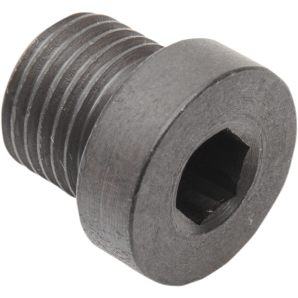 (image for) DAYTONA TWIN TEC LLC Socket Plug 12mm (Steel)