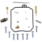 (image for) Carburetor Repair Kit