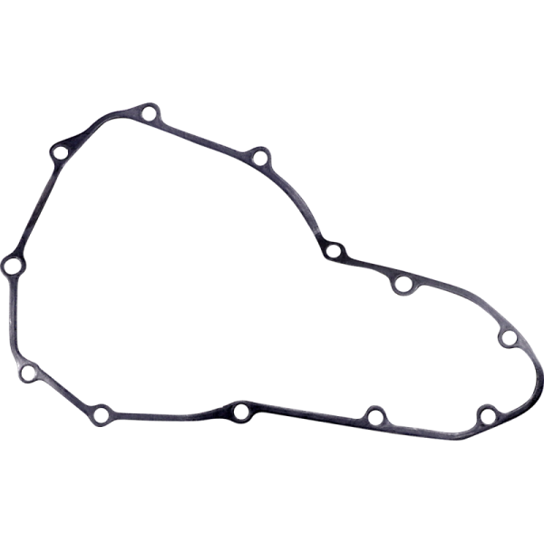 (image for) RICK'S MOTORSPORT ELECTRIC Stator Gasket for Kawasaki KLE650 Versys 07-22