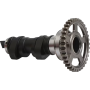 (image for) Hot Cams Racing Camshaft - Honda CRF450R/RX / CRF450RWE